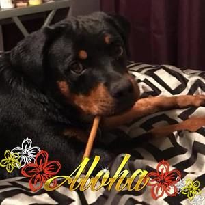 Meet your Posher, Chelsea